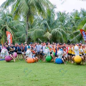 Caballo Inflable Portátil de PVC para Team Building, Venta al por Mayor, Viet Nam Thuy Linh, Transporte Seguro, Todas las Estaciones, Instalación Fácil en 5-10 Días - Product Image 4