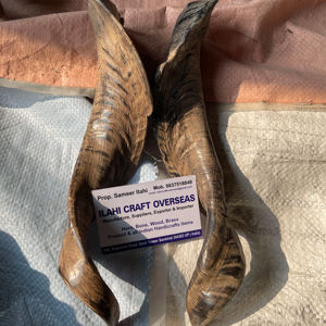 Par de Cuernos de Cabra Naturales con Acabado Natural para Decoración y Manualidades de Alta Calidad - Product Image 1