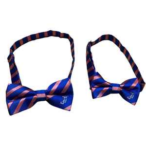 Conjunto de Corbatas de Moño para Jóvenes y Adultos Jack and Jill, Color Azul Claro, Conjunto de Corbatas de Moño Formales, Fabricante OEM, Suministro al por Mayor - Product Image 6