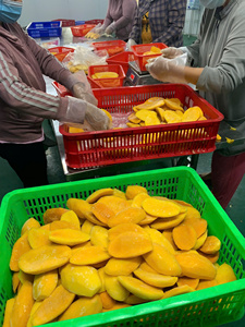 Mangue entière surgelée IQF, conservation de l'eau, découpe personnalisable, prix raisonnable, faible MOQ, emballage en vrac, Vietnam - Product Image 4