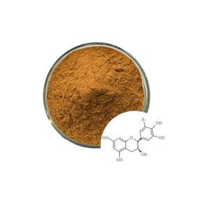 Polvo de extracto de té verde 99% EGCG de alta pureza para bebidas funcionales - Product Image 1