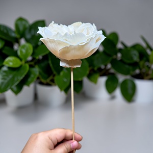 ดอกไม้โซล่าวู้ด VADEE SOLA WOOD FLOWER ทำมือ ดอกกุหลาบอังกฤษแบบยั่งยืนจากไม้โซล่าวู้ด ขนาด 8.5 ซม. ก้านใยพืชเซสบานียา ประเทศไทย VDXXX-070 - Product Image 6