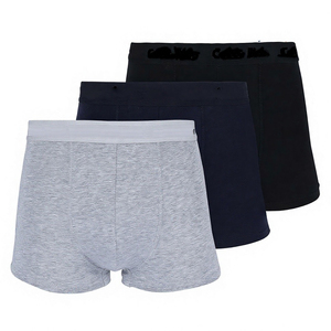 Custom High-quality <b>Men's</b> Boxer <b>Briefs</b> Spandex Cotton Breathable Quick Dry Classic Rise Puff Printed Embroidery OEM Service - Product Image 1