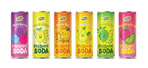 เลมอนและขิงเครื่องดื่มน้ำอัดลมแบบ prebiotic โซดา Wana ผลิตจากผู้ผลิต OEM/ ODM เป็นที่ยอมรับในเวียดนามส่งออกทั่วโลก - Product Image 4
