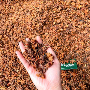 Anís Estrellado de Alta Calidad, Cosecha de Otoño/Primavera, Vietnam, Clasificación Limpia, Directo de Fábrica - Product Image 2