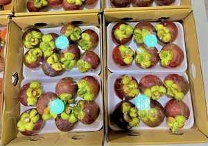 Mangoustan frais | Vente en gros de fruits biologiques 100% du Vietnam | Meilleur prix et haute qualité - Product Image 6