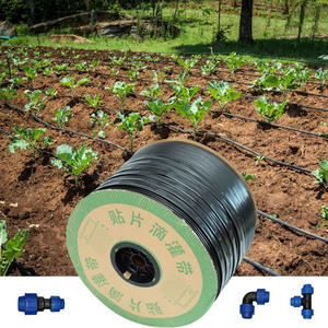 1.5LPH Dripline 30cm espacement émetteur pour l'irrigation Blueberry Bush - Product Image 3