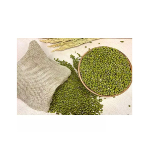 Prix d'usine, qualité supérieure, haricots mungo verts, haricots Vigna, haricots verts - Product Image 6