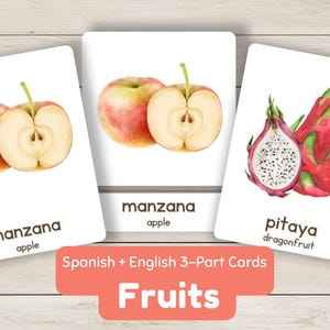 Boîtes d'emballage personnalisées de haute qualité pour cartes flash avec alphabet arabe imprimé, pour enfants, tout-petits, adultes, salle de classe, école à domicile, apprentissage - Product Image 2