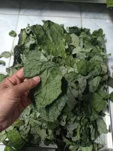 Suministro a Granel de Hojas de Yanang Secas envasadas al Vacío para Preparación de Sopas, Hojas de Yanang Secas Premium envasadas al Vacío - Product Image 2
