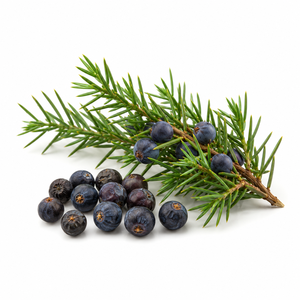 Premium Quality For Private Label Wholesale Bulk Organic Natural Dried Juniper Berries New Season Packaging OEM Service - Product Image 1