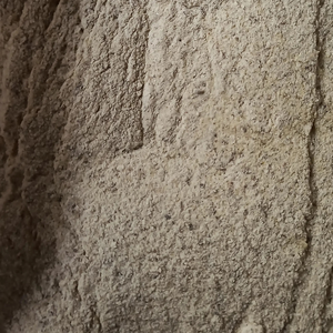 Boswellia serrata GUM Powder (shallaki) ผู้ผลิตอินเดีย - Product Image 1