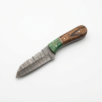Couteau EDC à lame fixe en acier Damas, forgé à la main, avec bolster en bois vert et manche en bois brun, couteau utilitaire pour camping et bushcraft, OEM