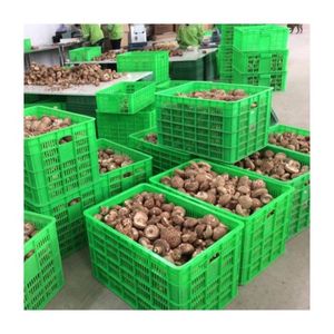 HOT SELLING Stir Fried Shiitake Mushroom For Reliable Restaurant Kitchen Ingredient And Long Shelf Storage Unit Box - Product Image 3