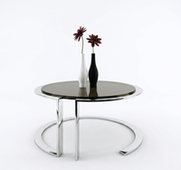 Table basse de luxe en fer noir durable avec anneau en acier inoxydable, mobilier moderne de salon, structure métallique non pliable