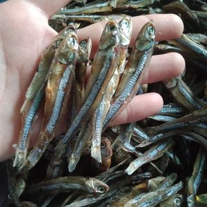 Anchoas enteras secas saladas en forma de filamento, nutritivas para sopas y nutrición de mascotas, paquete a granel, almacenamiento en seco - Product Image 3