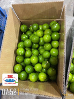 Exportkwaliteit pitloze limoen – Vietnam origine, sappig en pitloos, perfect voor wereldwijde distributie