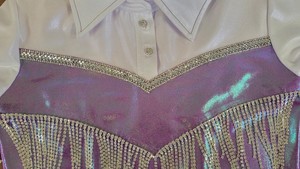 Camisa de Montar a Caballo Estilo Western en Satén Azul con Cierre de Botones Delanteros, Manga Larga, Cintura Alta y Ligera - Product Image 2