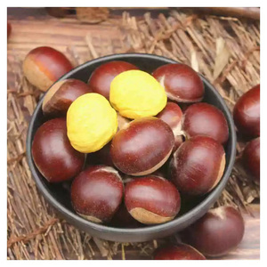 ถั่วเชสนัทแห้งคุณภาพพรีเมียมจากธรรมชาติ 100% - Product Image 1