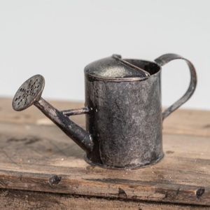 Arrosoir compact en métal pour plantes d'intérieur, pot à eau décoratif avec poignée à long bec - Product Image 5