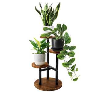Support de plantes en bois moderne avec trois étagères circulaires pour plantes vertes d'intérieur, décoration de la maison, style minimaliste - Product Image 1