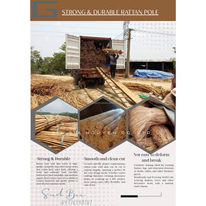 Vietnamese Rattan Core Raw Material for Handicrafts & <b>Vintage</b> Style Furniture for <b>Chair</b> Manufacturing - Product Image 2