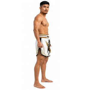 Men's High Street Style Kick Boxing & Martial Arts Shorts 100% Cotton Bjj MMA <b>Boxer</b> & Wrestling High Waist Hot Shorts for Mens - Product Image 5