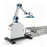 Robot de palettisation automatique, machine de palettisation robotisée, ligne d'emballage pour sacs, cartons et boîtes, capacité de 25 kg à 50 kg, usage intensif