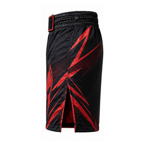 Shorts MMA Premium, shorts d'entraînement en tissu extensible pour le grappling, la boxe et les activités d'entraînement sportif - Product Image 3