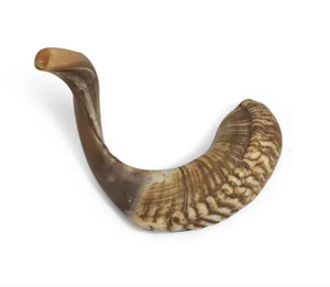 Shofares Artesanales Naturales Hechos a Mano - Cuernos de Búfalo y de Carnero Pulidos con Estilo Animal para Decoración del Hogar - Product Image 4