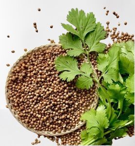 Chất lượng cao hữu cơ rau mùi nhà máy chiết xuất sáp siêu quan trọng chất lỏng chiết xuất cấp thực phẩm vitamin bổ sung có thể đóng gói - Product Image 3