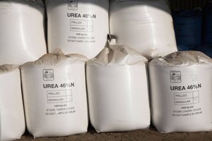 Fertilizante de Urea 46% Nitrógeno, Granulado de Liberación Rápida para Uso Agrícola - Product Image 6