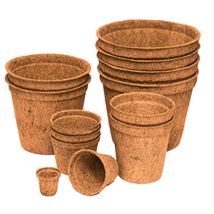 Sustainable Coconut Coir Plant Pot – Eco-Friendly Nursery <b>Container</b> for Modern Gardening - Product Image 1