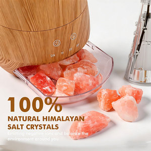 Diffuseur d'arômes en sel de l'Himalaya de qualité supérieure, design moderne sculpté, taille et logo personnalisables, origine Pakistan, finition roche naturelle - Product Image 3
