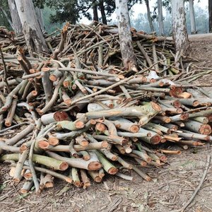Leña 100% natural en venta - Leña a precio competitivo - Estufas de leña - Exportación de leña de madera dura para el mercado de EE. UU. y la UE - Product Image 6