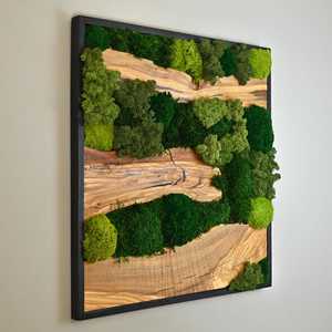 Arte de pared de madera al por mayor, decoración especial de musgo para pared, arte de musgo y madera para decoración del hogar, arte de musgo hecho a mano con base de madera - Product Image 2