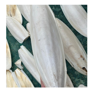 สินค้าขายดี |   กระดูกปลาหมึกแห้งทั้งตัว อาหารเสริมแคลเซียมสำหรับสัตว์เลื้อยคลานจากบลูโลตัส เวียดนาม - Product Image 1