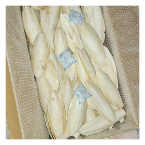 Fábrica de Huesos de Sepia en Vietnam que Produce Grandes Cantidades para Distribuidores de Productos para Mascotas y Compradores Internacionales - Product Image 1