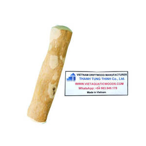 Jouets à mâcher pour chiens en bois naturel, bâtonnets de dentition durables en bois massif pour l'hygiène dentaire des animaux, fabriqués au Vietnam - Product Image 5