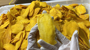 Mangues séchées, moins de sucre, emballées sous vide, 500 grammes - Goût aigre-doux, provenant de Dong Nai, Vietnam, meilleure offre - Product Image 5
