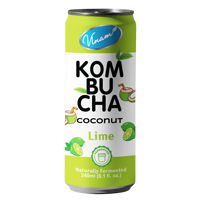 Eau de coco pétillante YOOH RTD 320ml en conserve, usine OEM/ODM du Vietnam, meilleur prix, eau potable, 30-35% de jus