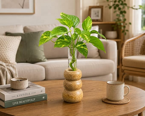 Vases muraux en bambou naturel de qualité supérieure, texture naturelle, faits à la main, écologiques, Art déco, FAIZA CRAFT, maison, bureau, hôtel, salon - Product Image 5