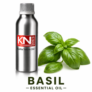 100% Premium Basil <b>Essential</b> <b>Oil</b> Organic Certified Bulk Manufacturer Worldwide Exporter Wholesaler Pure Aromatherapy Grade <b>Oil</b> - Product Image 1