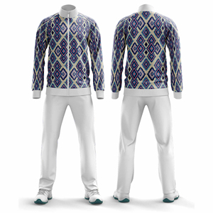 Ensemble de survêtement sportif personnalisé pour hommes et femmes, veste athlétique, pantalon de jogging, vêtements d'équipe, fournisseur de vêtements de sport en gros - Product Image 3