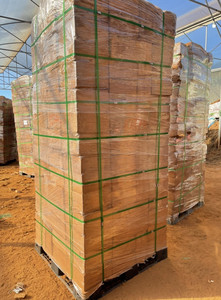 Bloques de turba de Coco de alta calidad Opción de cultivo respetuoso con el medio ambiente de Vietnam para horticultura Exportación al por mayor 99GD - Product Image 5
