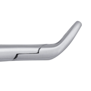 Forceps d'extraction dentaire chirurgical en acier inoxydable pour incisives inférieures, canines et premiers molaires (203) - Chirurgie buccale - Product Image 2