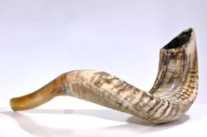 Corne de Shofar juive artisanale, marque NEHA ENTERPRISES, fabriquée à partir de corne de bélier naturelle pour les cérémonies religieuses, les festivals et les événements culturels - Product Image 2