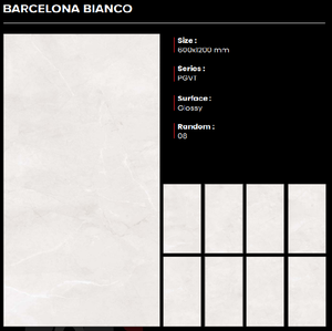 CLAYTON CERAMIC - Baldosas de Porcelana Premium Brillante de la Más Alta Calidad en India, 600x1200 mm, Hechas en India, Garantía de 3 Años, Antideslizantes - Product Image 1