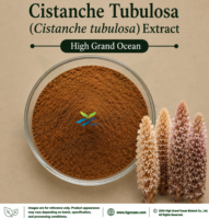 Extrait de Cistanche Tubulosa (qualité alimentaire) fourni directement par l'usine HGO, rapports d'extraction 4:1, 5:1, 10:1, 20:1, 100:1, 200:1