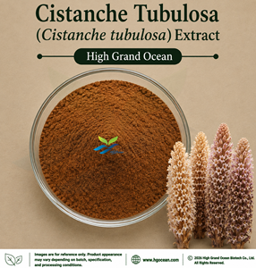 Suministro Directo de Fábrica HGO, Extracto de Cistanche Tubulosa (Grado Alimenticio) en Proporciones 4:1, 5:1, 10:1, 20:1, 100:1, 200:1 - Product Image 1